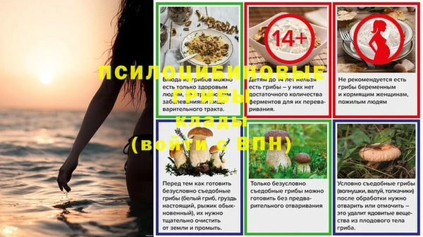 дживик Алзамай