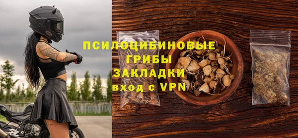 соль ск Алексин